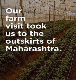 Reel cover from a farm visit on the outskirts of Maharashtra