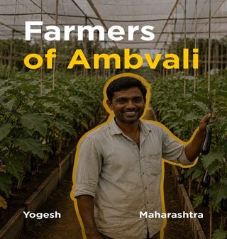 Farmer story post from Ambvali, Maharashtra